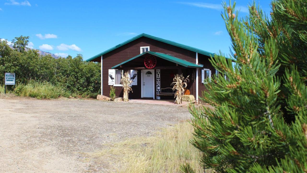 מונטיצ'לו Ranch Mountain Cabin, Stunning! Campfire, Hiking מראה חיצוני תמונה