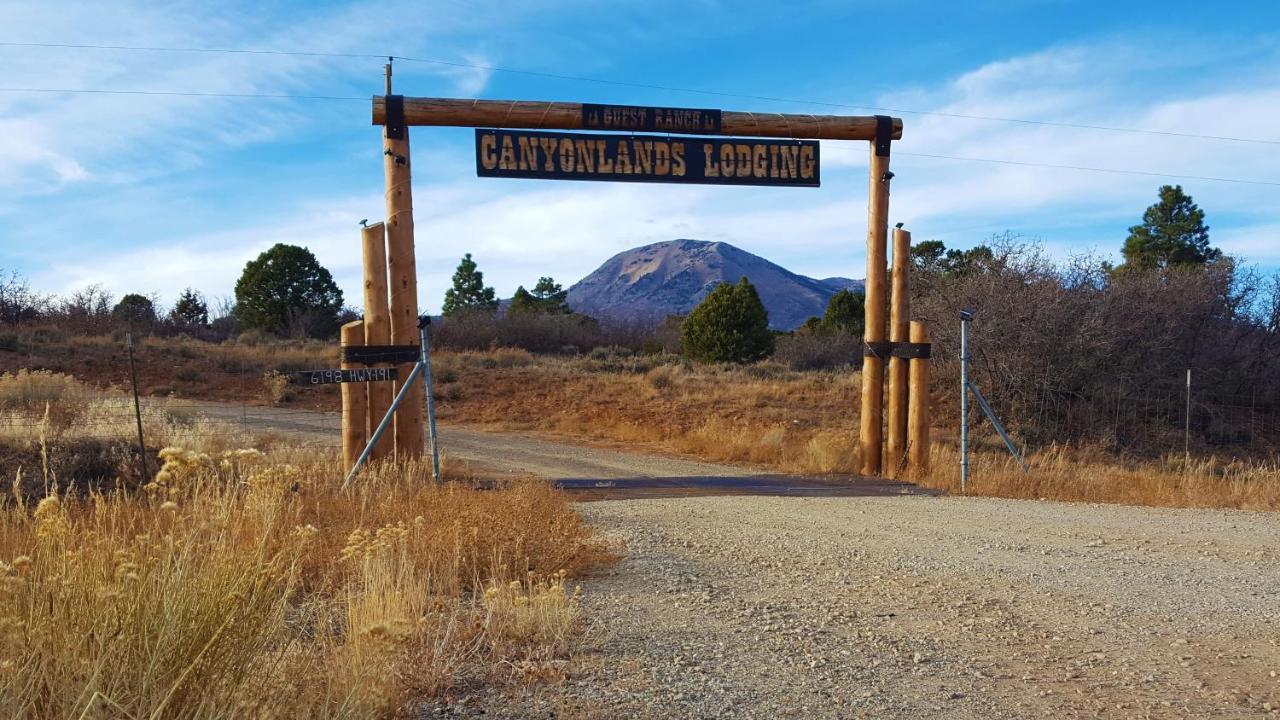 מונטיצ'לו Ranch Mountain Cabin, Stunning! Campfire, Hiking מראה חיצוני תמונה